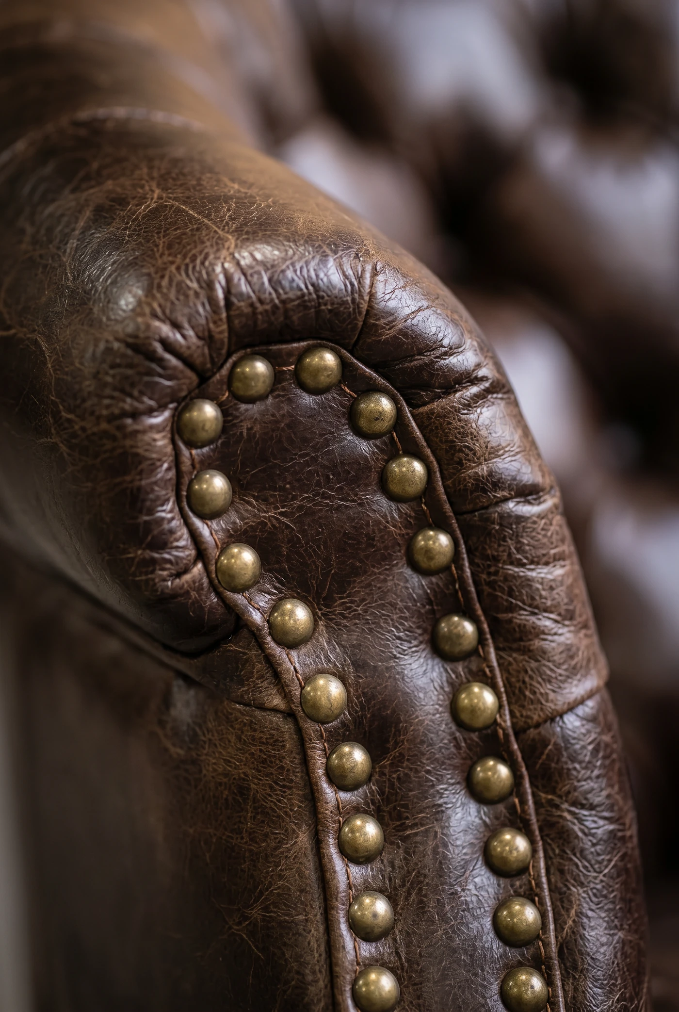 Кресло Comfort, Dark Leather and Wood — деталь материала