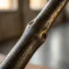 Кухонный стул Cartri — фото 4